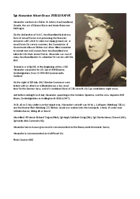 A preview of a PDF biography for Brace, Alexander Albert